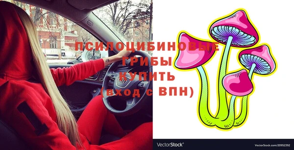 твердый Алексин