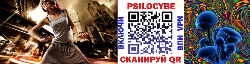 где купить наркоту  Хасавюрт  shop клад  Псилоцибиновые грибы MAGIC MUSHROOMS 